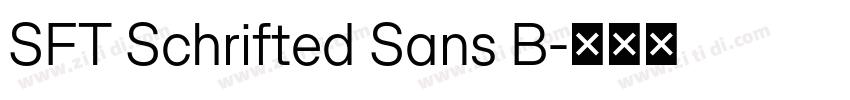 SFT Schrifted Sans B字体转换